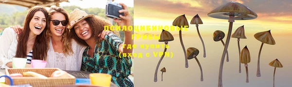 дурь Абдулино