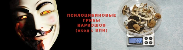 хмурый Абинск