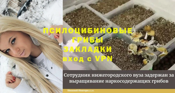 хмурый Абинск
