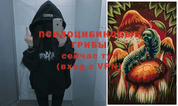 дурь Абдулино